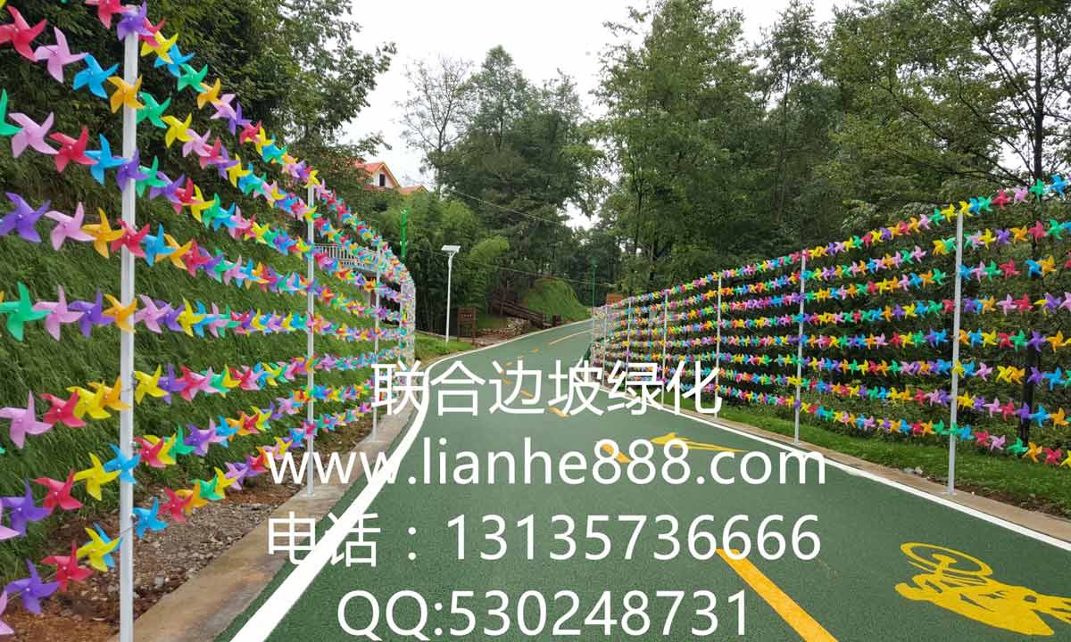 贵州六盘水大河堡国学馆风景旅游区边坡复绿