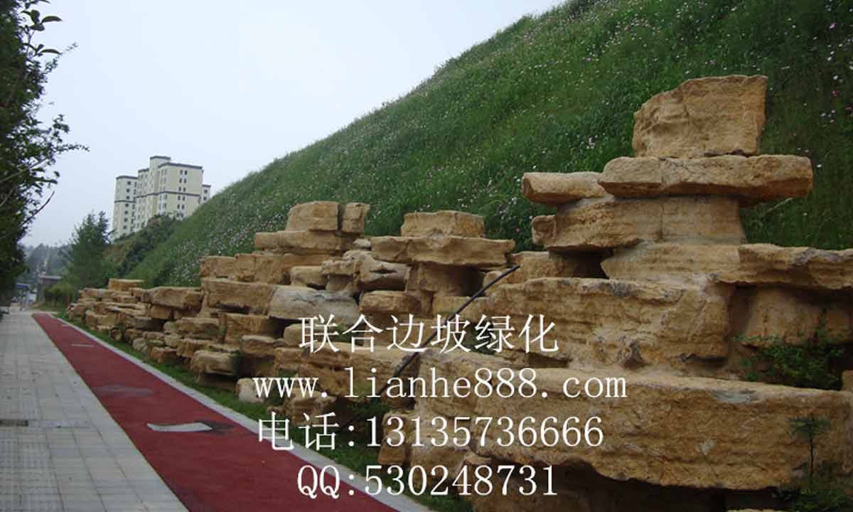 湖北宜昌萧亭道路边坡复绿工程
