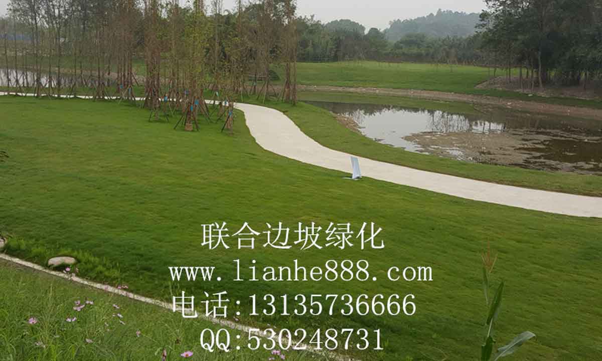 四川江油李白故居公园工地绿化