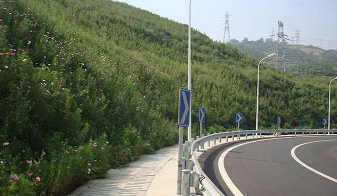 公路及道路边坡治理及绿化