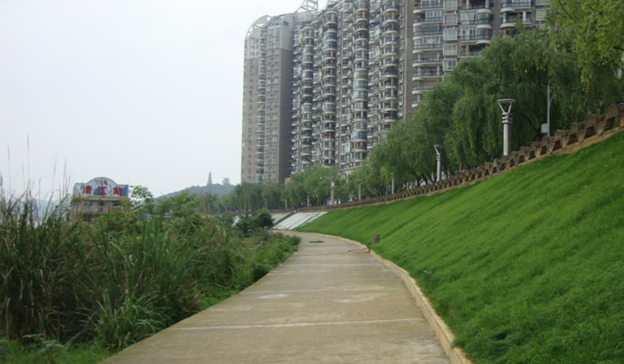 河道及库区边坡整治及复绿