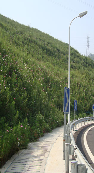 公路及道路边坡治理及绿化