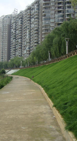 河道及库区边坡整治及复绿