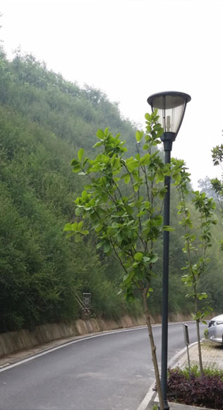 住宅小区边坡环境复绿
