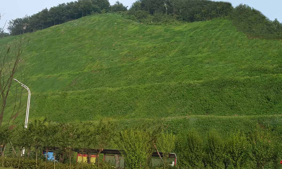 湖北应广城市道路边坡复绿工程
