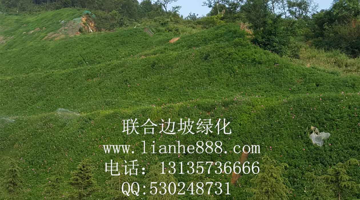 边坡治理绿化的概念及其方法